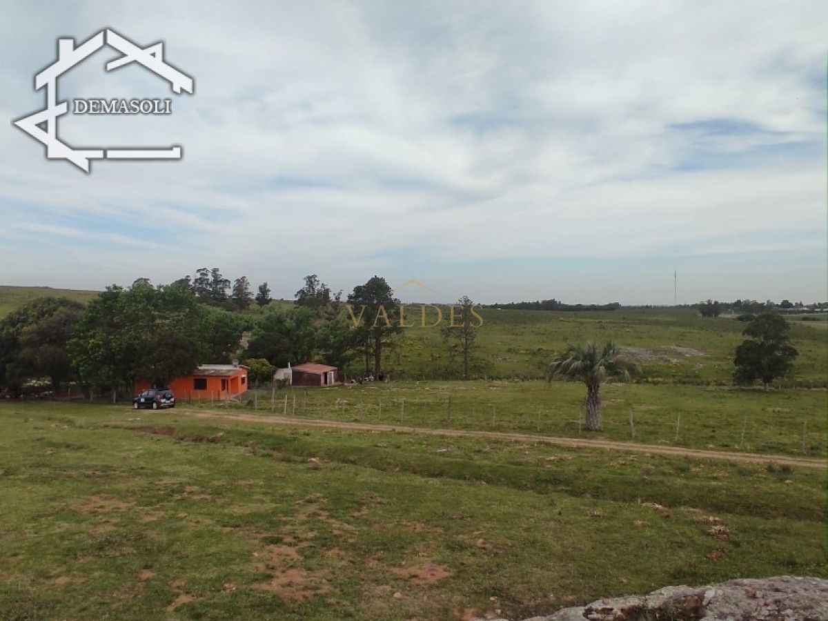 Chacra ID.1681 - Se vende chacra 11 has 8000 m2, con casa.