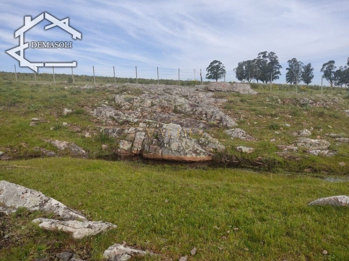 Chacra ID.1681 - Se vende chacra 11 has 8000 m2, con casa.