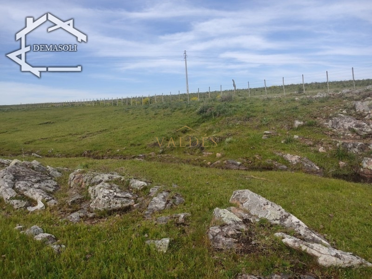 Chacra ID.1681 - Se vende chacra 11 has 8000 m2, con casa.