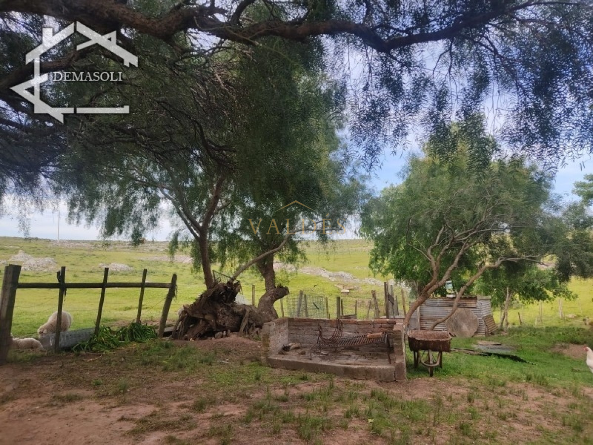 Chacra ID.1681 - Se vende chacra 11 has 8000 m2, con casa.