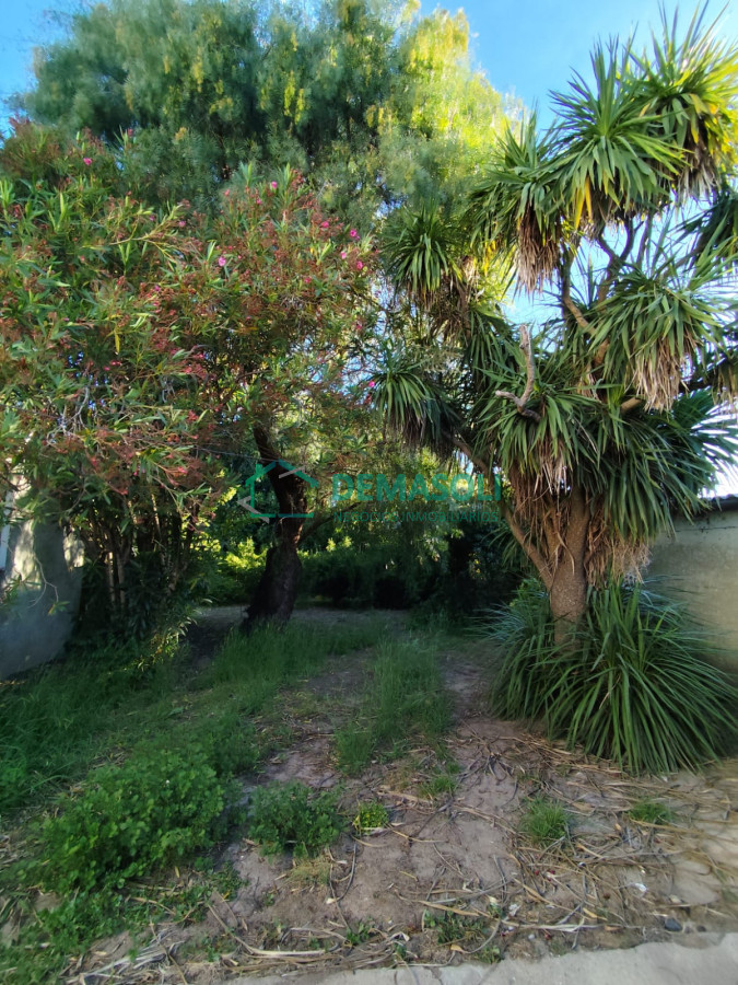 Casa ID.1157 - En venta casa de 3 dormitorios en San Carlos, Maldonado 