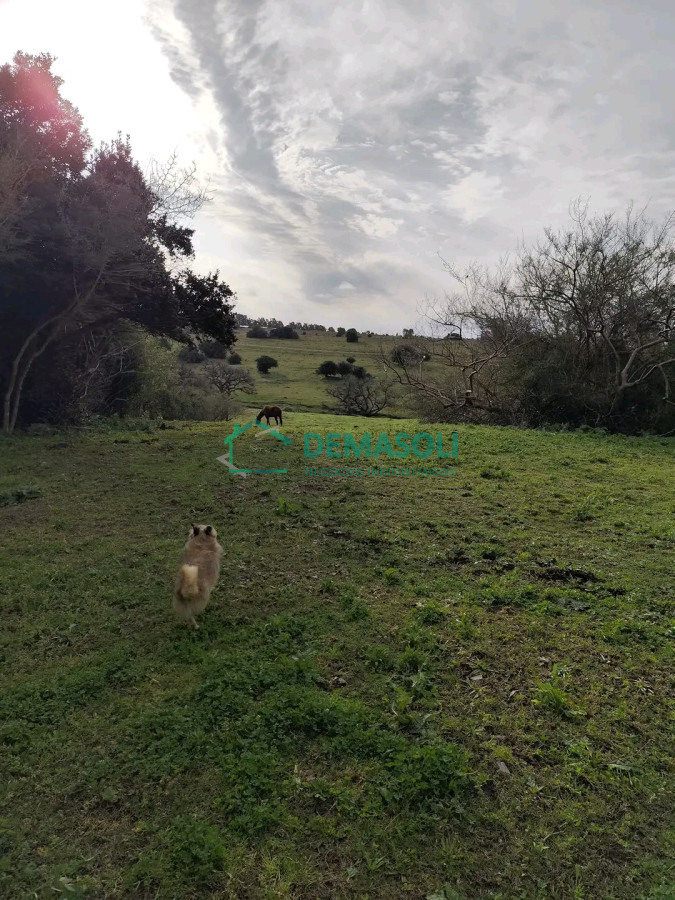 Casa ID.1086 - En venta casa de 3 dormitorios en Pan de Azúcar 