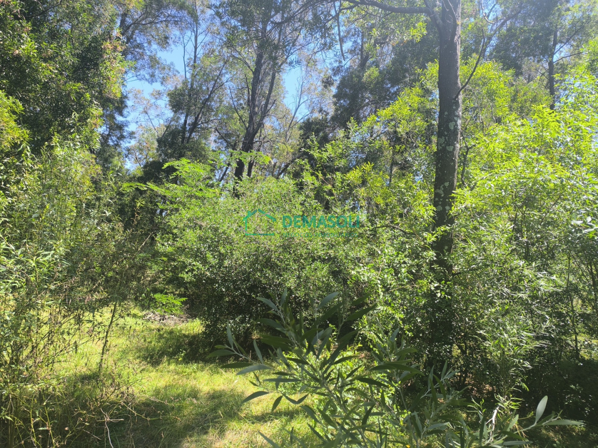 Chacra ID.1376 - 3 has 3120 m2 chacra con casas y Piscina a pocos minutos de Pan de Azúcar, Maldonado 