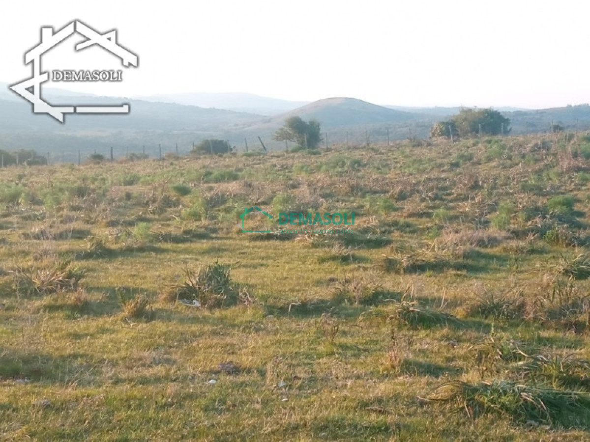 Chacra ID.170 - Hermosa Chacra de 5 has ubicada en Ruta 39.