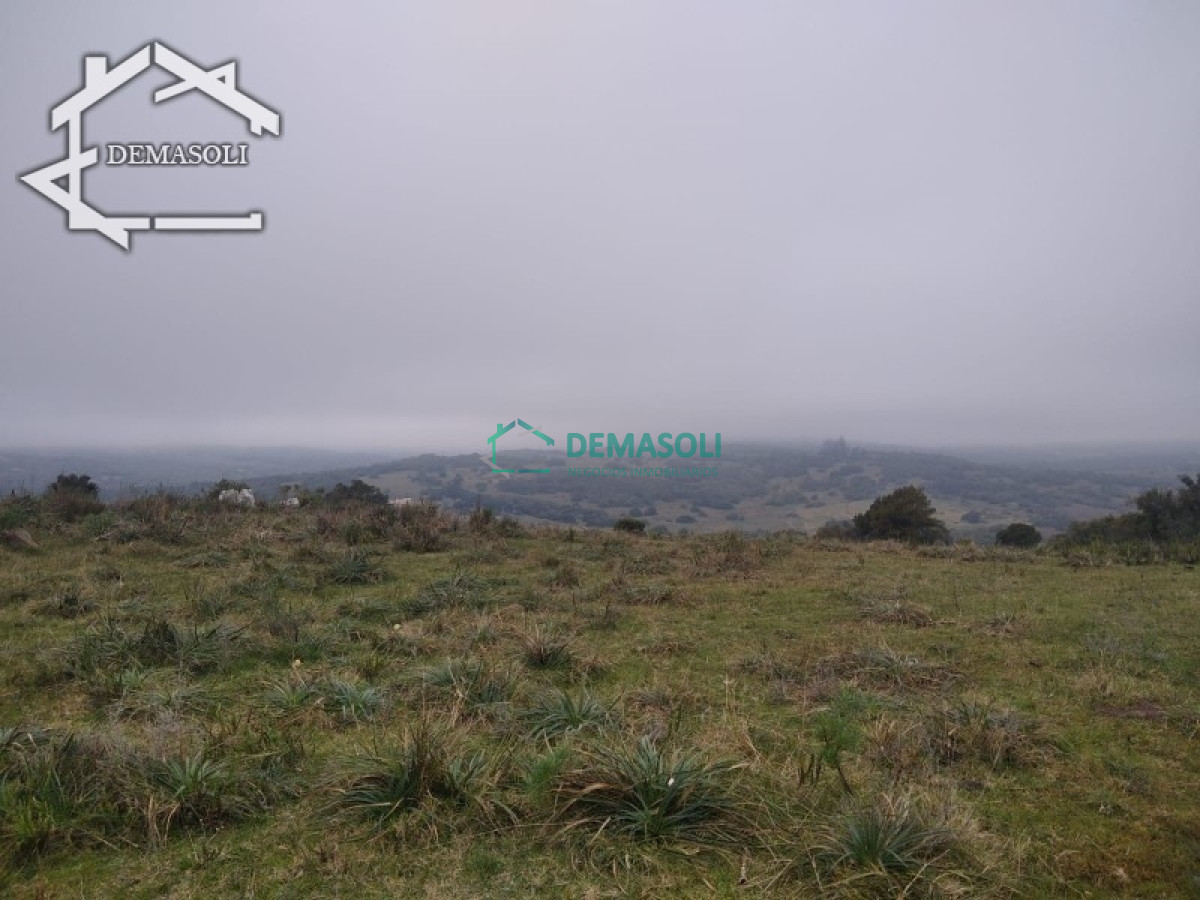 Chacra ID.170 - Hermosa Chacra de 5 has ubicada en Ruta 39.