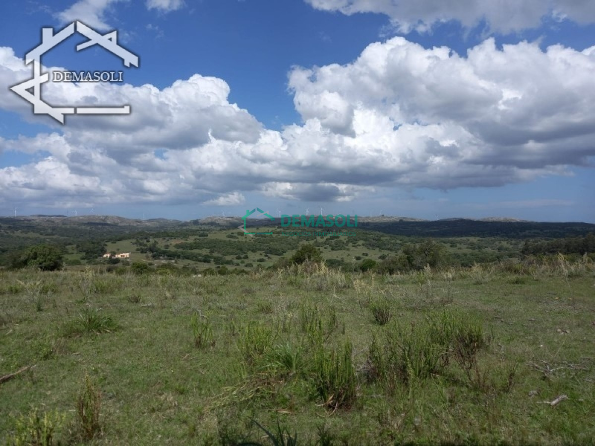 Chacra ID.170 - Hermosa Chacra de 5 has ubicada en Ruta 39.
