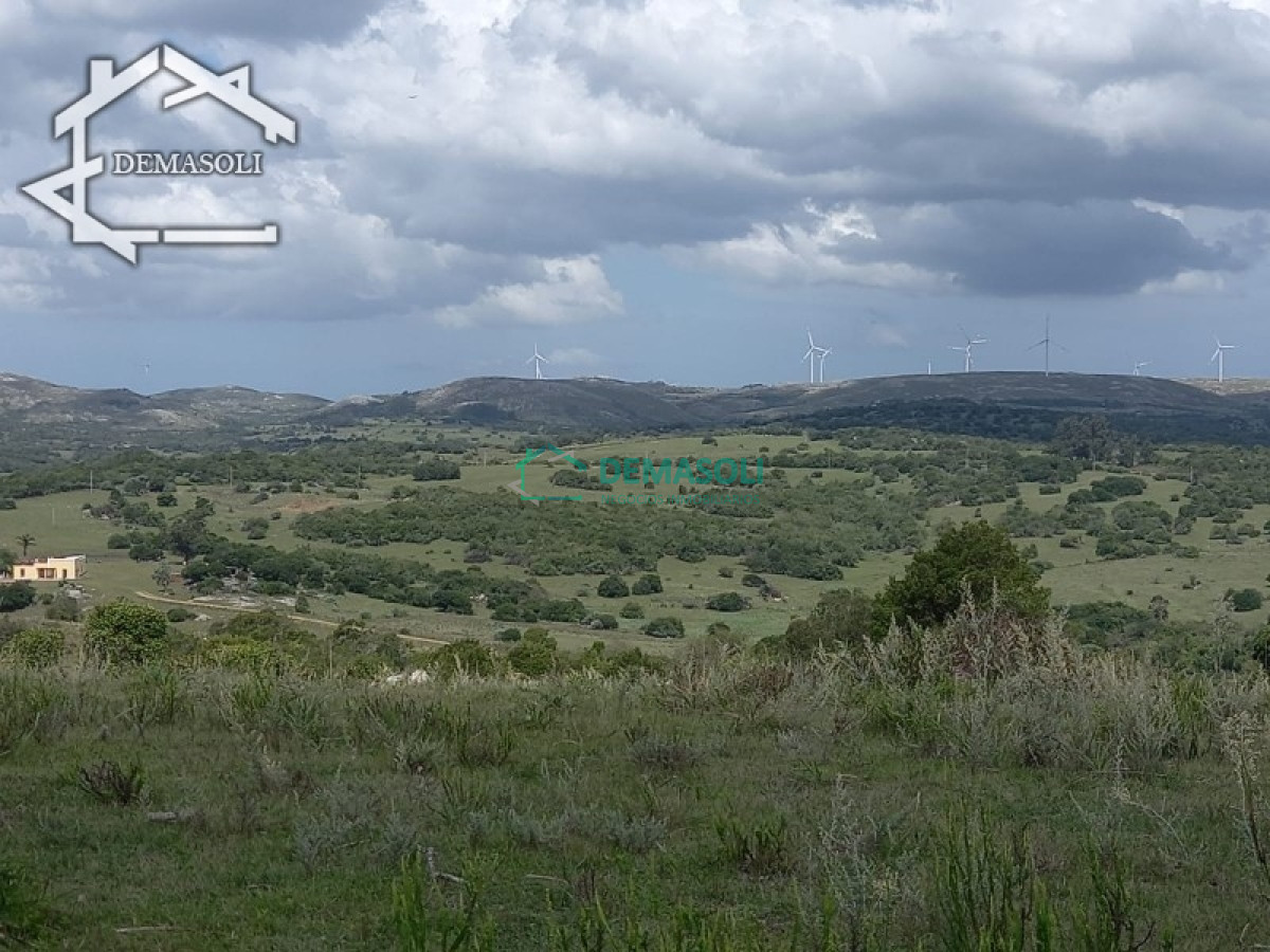 Chacra ID.170 - Hermosa Chacra de 5 has ubicada en Ruta 39.