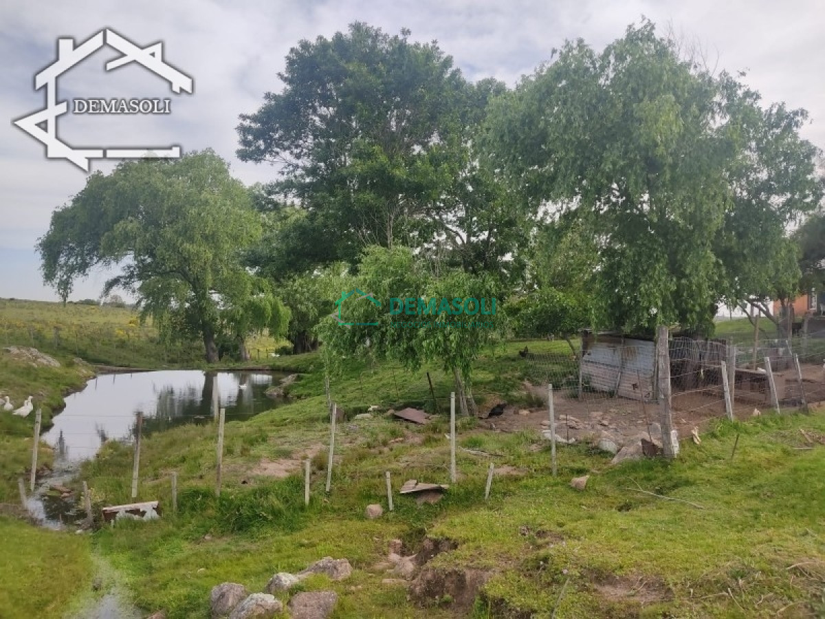 Chacra ID.194 - Se vende chacra 11 has 8000 m2, con casa.