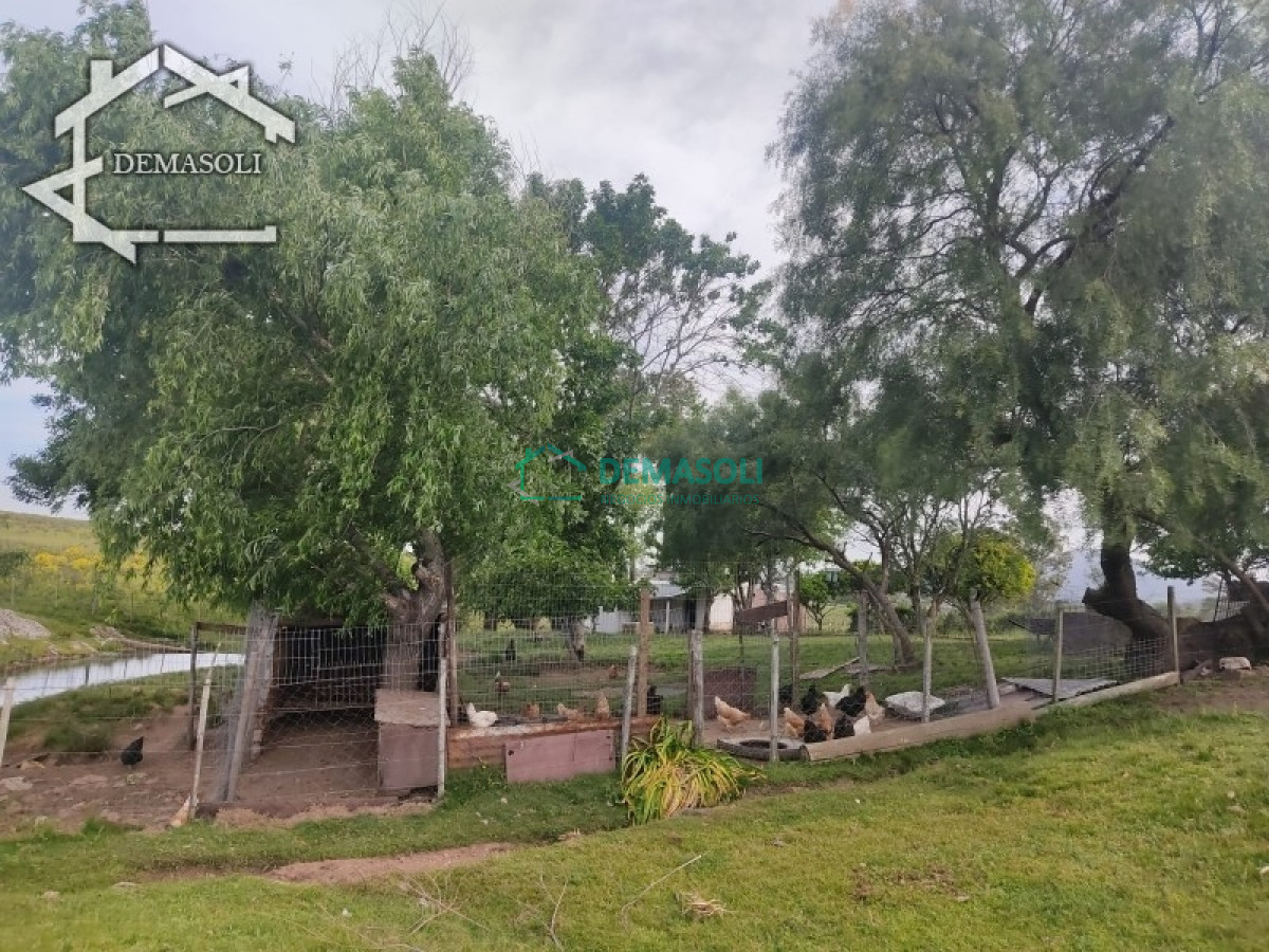 Chacra ID.194 - Se vende chacra 11 has 8000 m2, con casa.