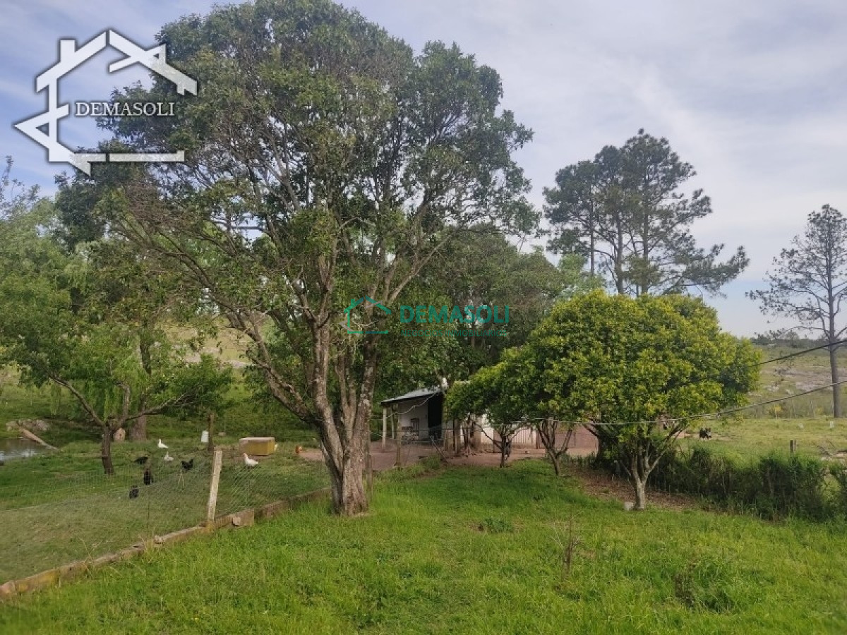 Chacra ID.194 - Se vende chacra 11 has 8000 m2, con casa.