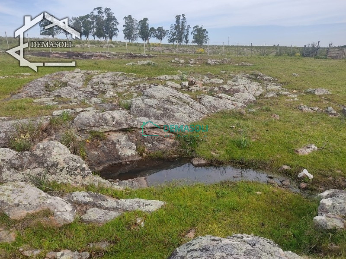 Chacra ID.194 - Se vende chacra 11 has 8000 m2, con casa.