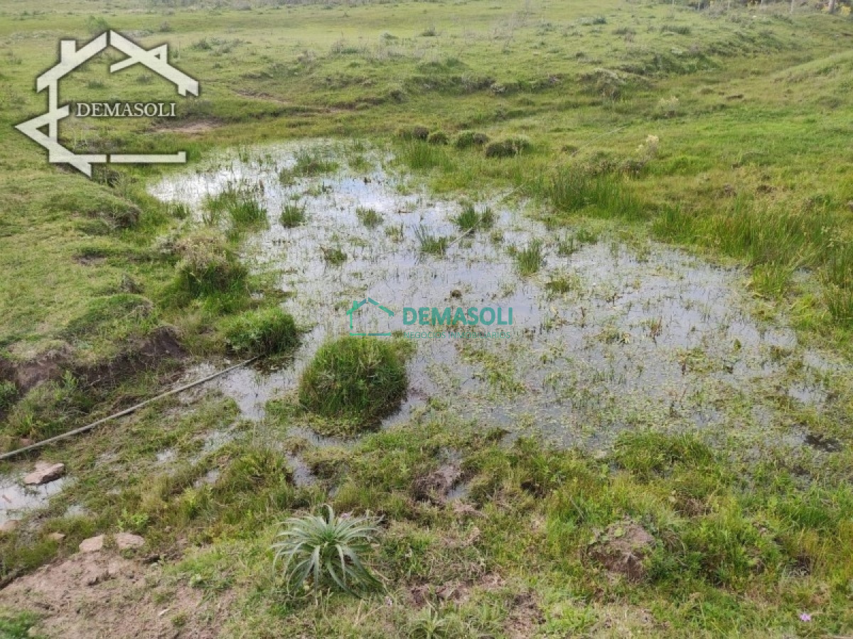 Chacra ID.194 - Se vende chacra 11 has 8000 m2, con casa.