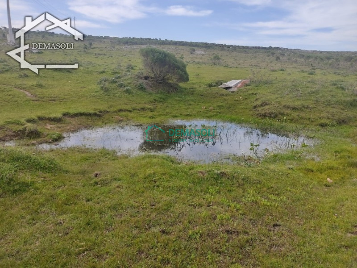 Chacra ID.194 - Se vende chacra 11 has 8000 m2, con casa.