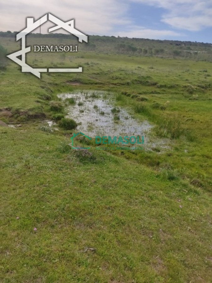 Chacra ID.194 - Se vende chacra 11 has 8000 m2, con casa.
