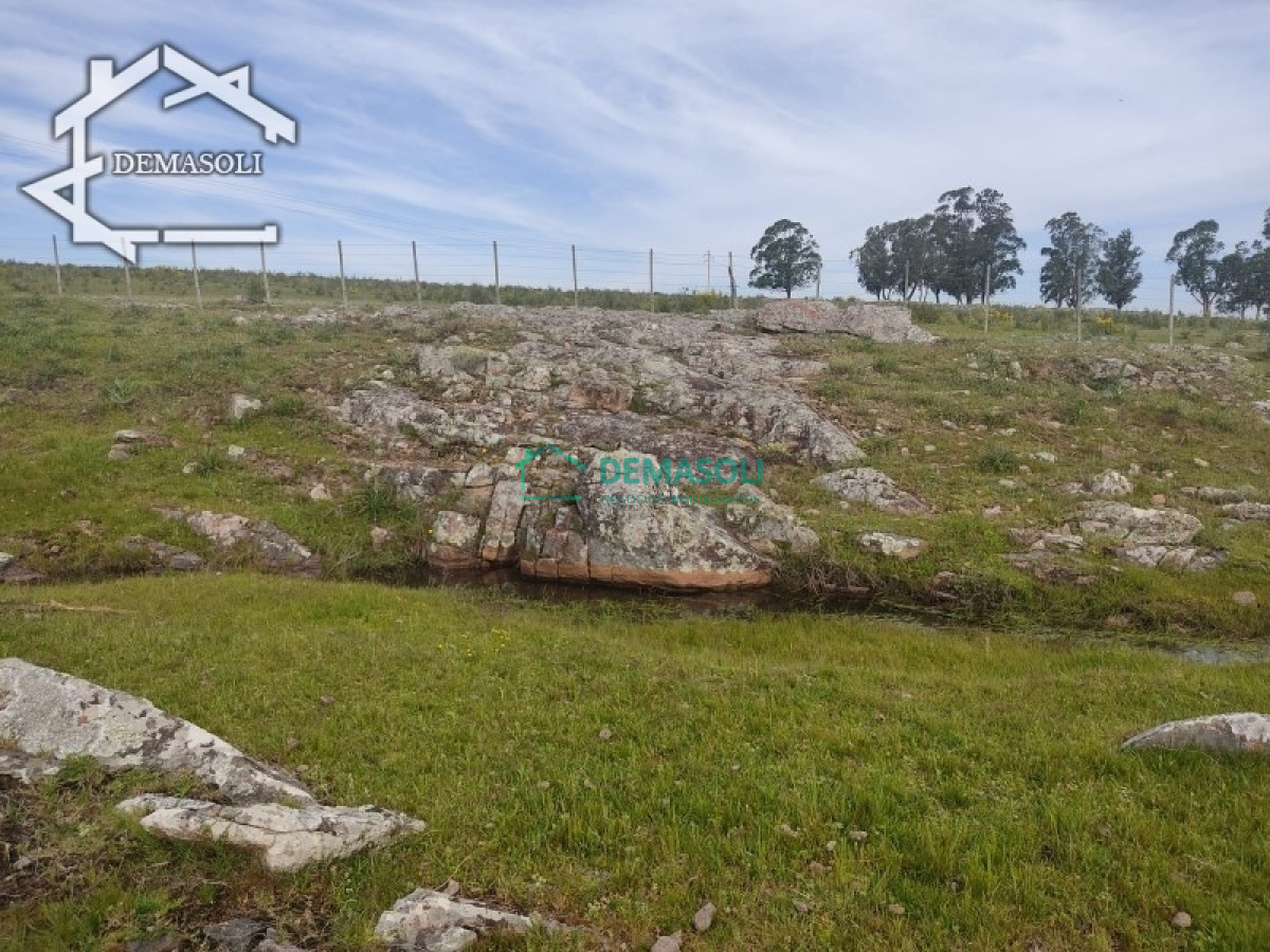 Chacra ID.194 - Se vende chacra 11 has 8000 m2, con casa.