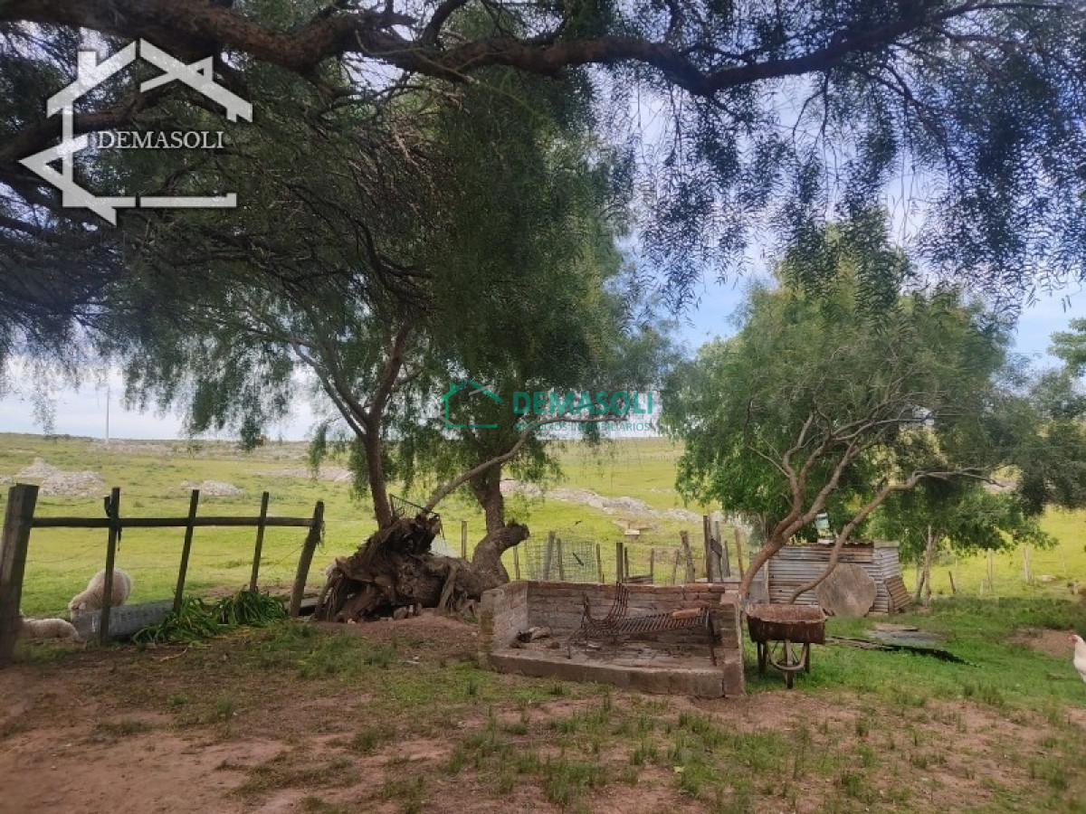 Chacra ID.194 - Se vende chacra 11 has 8000 m2, con casa.
