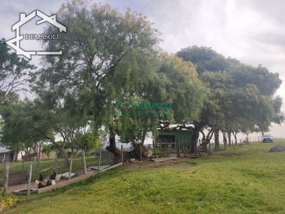 Chacra ID.194 - Se vende chacra 11 has 8000 m2, con casa.