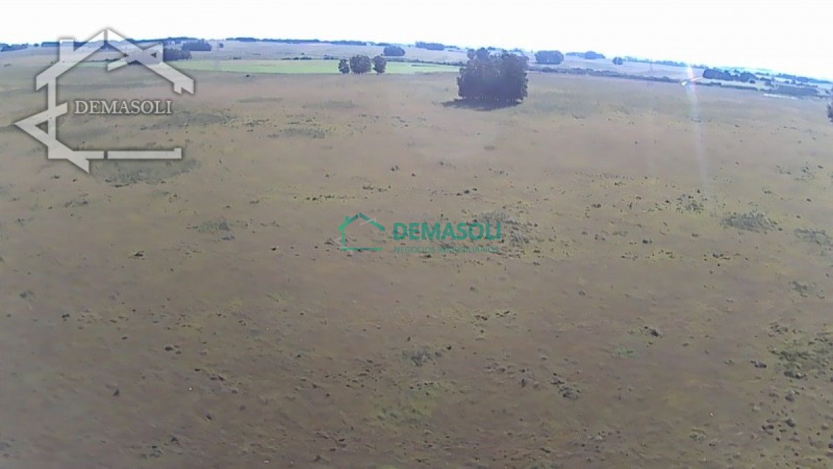 Chacra ID.224 - En venta chacra 21.5 Has en José Ignacio excelente ubicación.