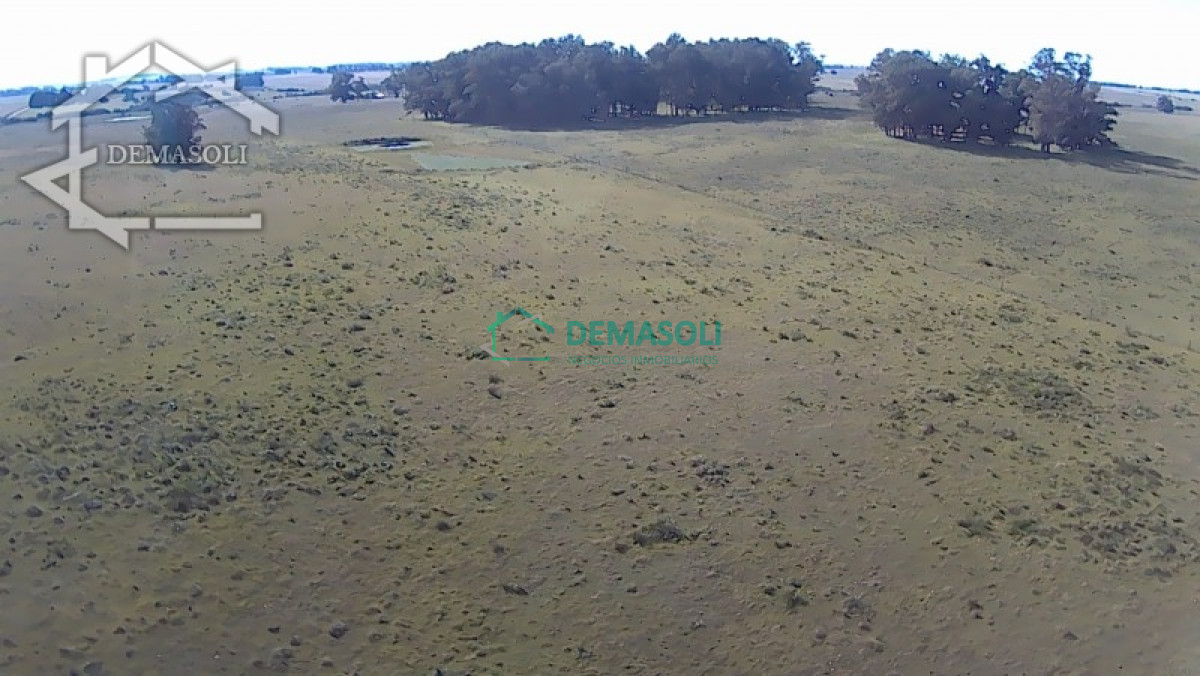 Chacra ID.224 - En venta chacra 21.5 Has en José Ignacio excelente ubicación.