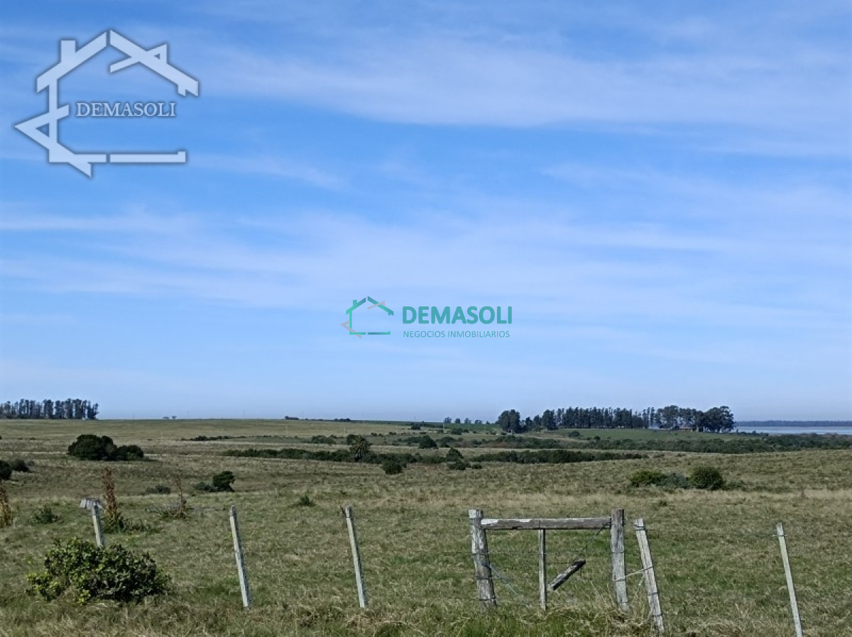 Chacra ID.224 - En venta chacra 21.5 Has en José Ignacio excelente ubicación.