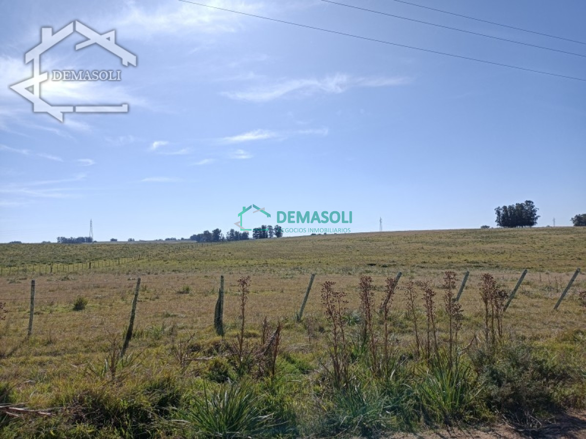 Chacra ID.224 - En venta chacra 21.5 Has en José Ignacio excelente ubicación.