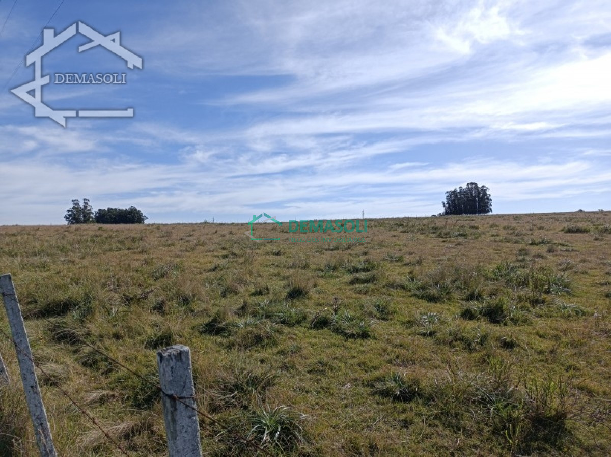 Chacra ID.224 - En venta chacra 21.5 Has en José Ignacio excelente ubicación.