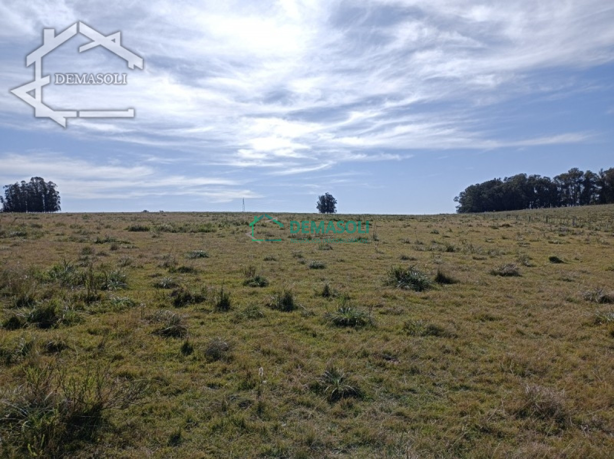 Chacra ID.224 - En venta chacra 21.5 Has en José Ignacio excelente ubicación.