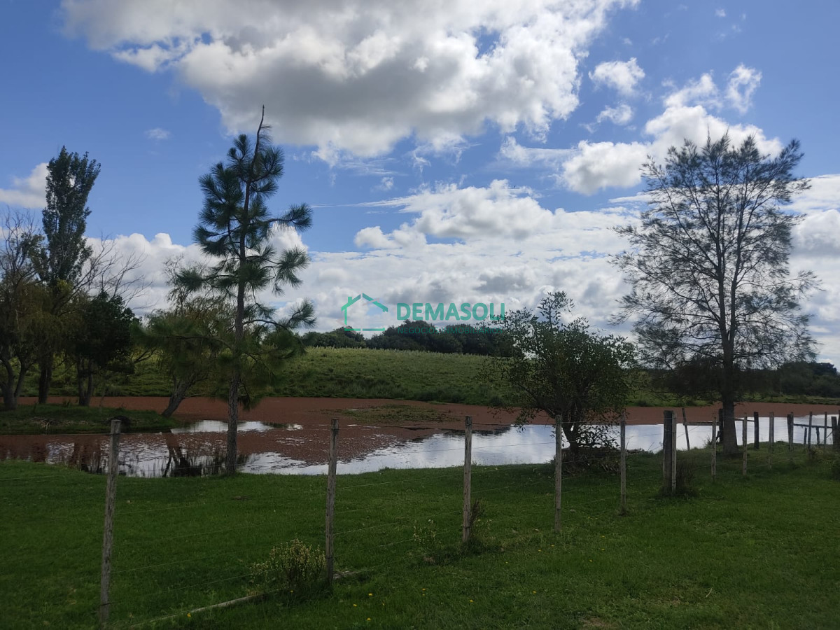 Chacra ID.769 - Se vende 30 has con casa a 3 km de Garzón.