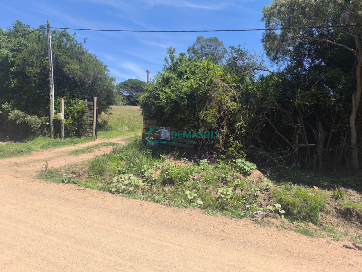 Chacra ID.1376 - 3 has 3120 m2 chacra con casas y Piscina a pocos minutos de Pan de Azúcar, Maldonado 
