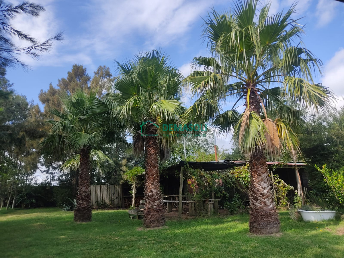 Chacra ID.769 - Se vende 30 has con casa a 3 km de Garzón.