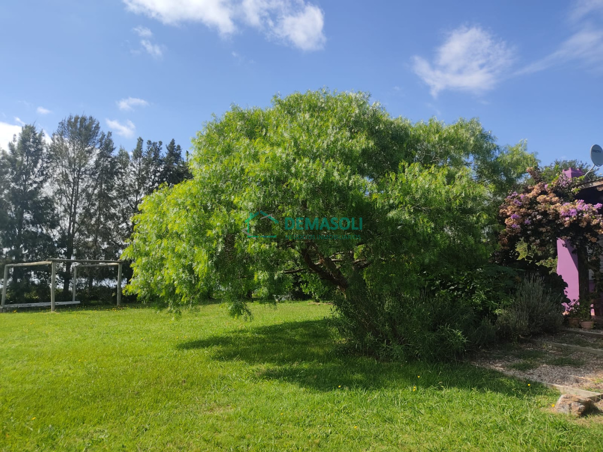 Chacra ID.769 - Se vende 30 has con casa a 3 km de Garzón.