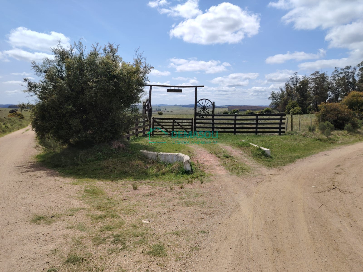 Chacra ID.1077 - Chacra de 5 has a pocos minutos de  Pan de Azúcar, posible financiación 