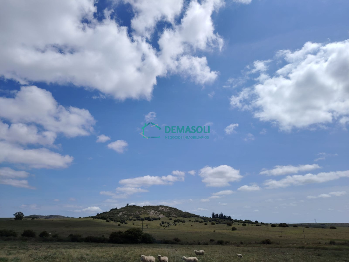 Chacra ID.1077 - Chacra de 5 has a pocos minutos de  Pan de Azúcar, posible financiación 