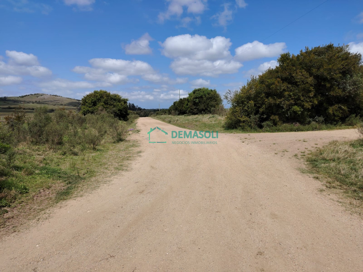 Chacra ID.1077 - Chacra de 5 has a pocos minutos de  Pan de Azúcar, posible financiación 
