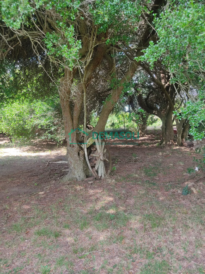 Chacra ID.769 - Se vende 30 has con casa a 3 km de Garzón.