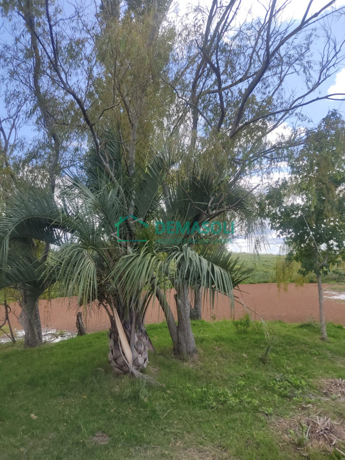 Chacra ID.769 - Se vende 30 has con casa a 3 km de Garzón.