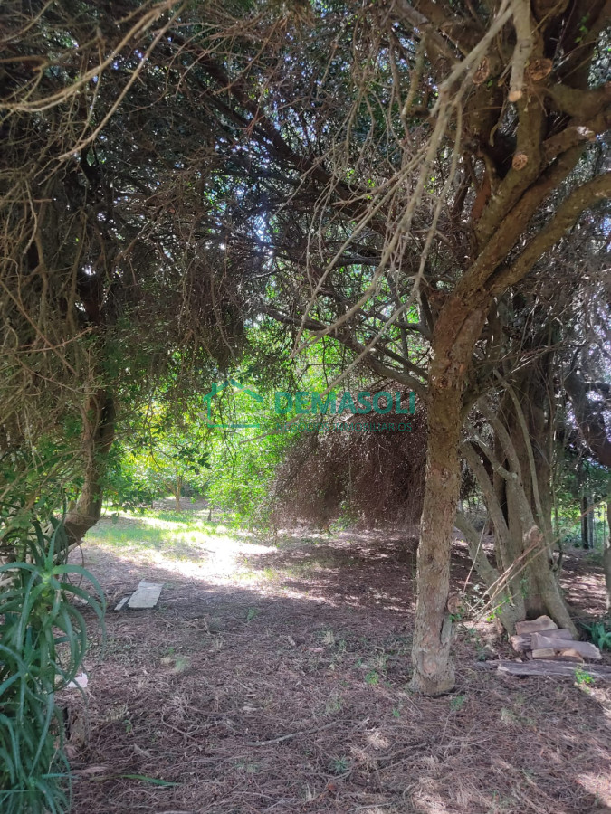 Chacra ID.769 - Se vende 30 has con casa a 3 km de Garzón.