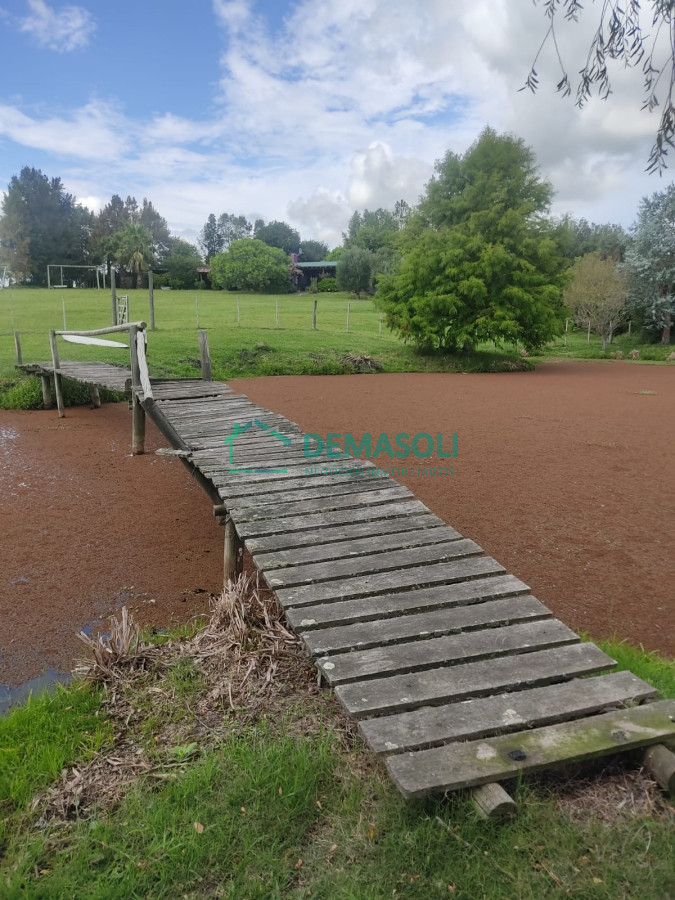 Chacra ID.769 - Se vende 30 has con casa a 3 km de Garzón.