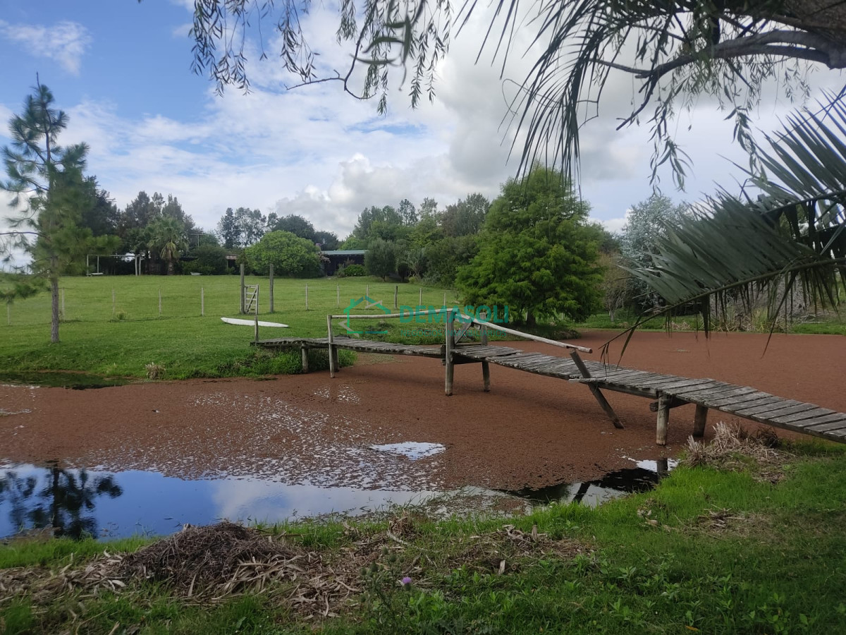 Chacra ID.769 - Se vende 30 has con casa a 3 km de Garzón.