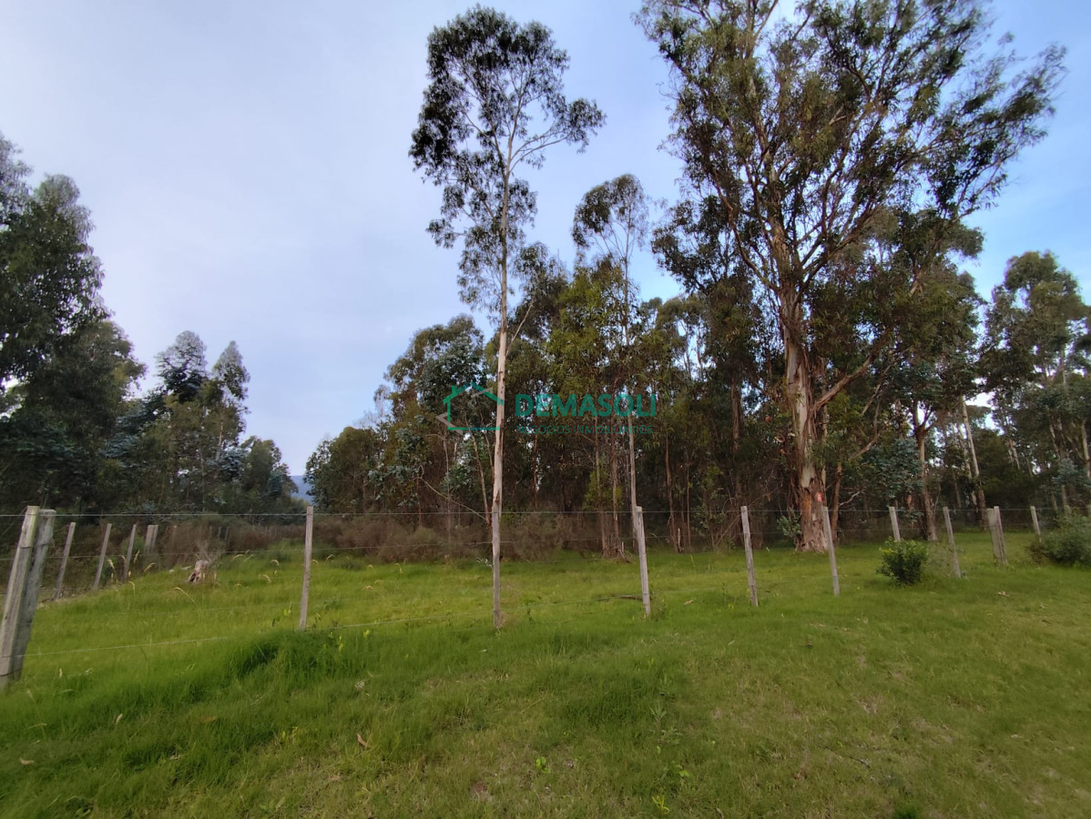 Chacra ID.1279 - CHACRA EN CERROS AZULES