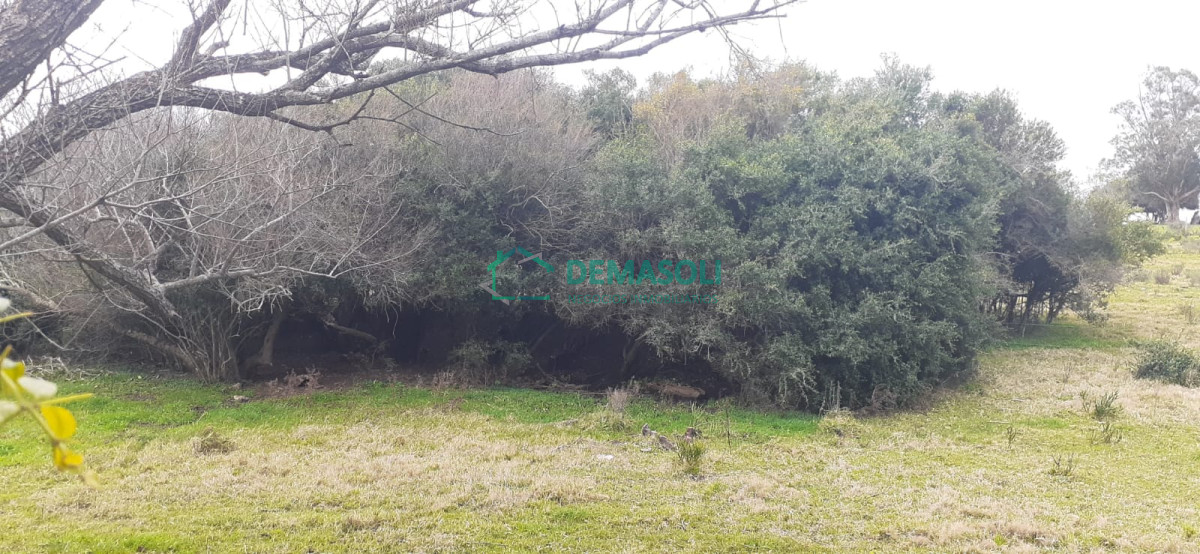 Chacra ID.569 - 