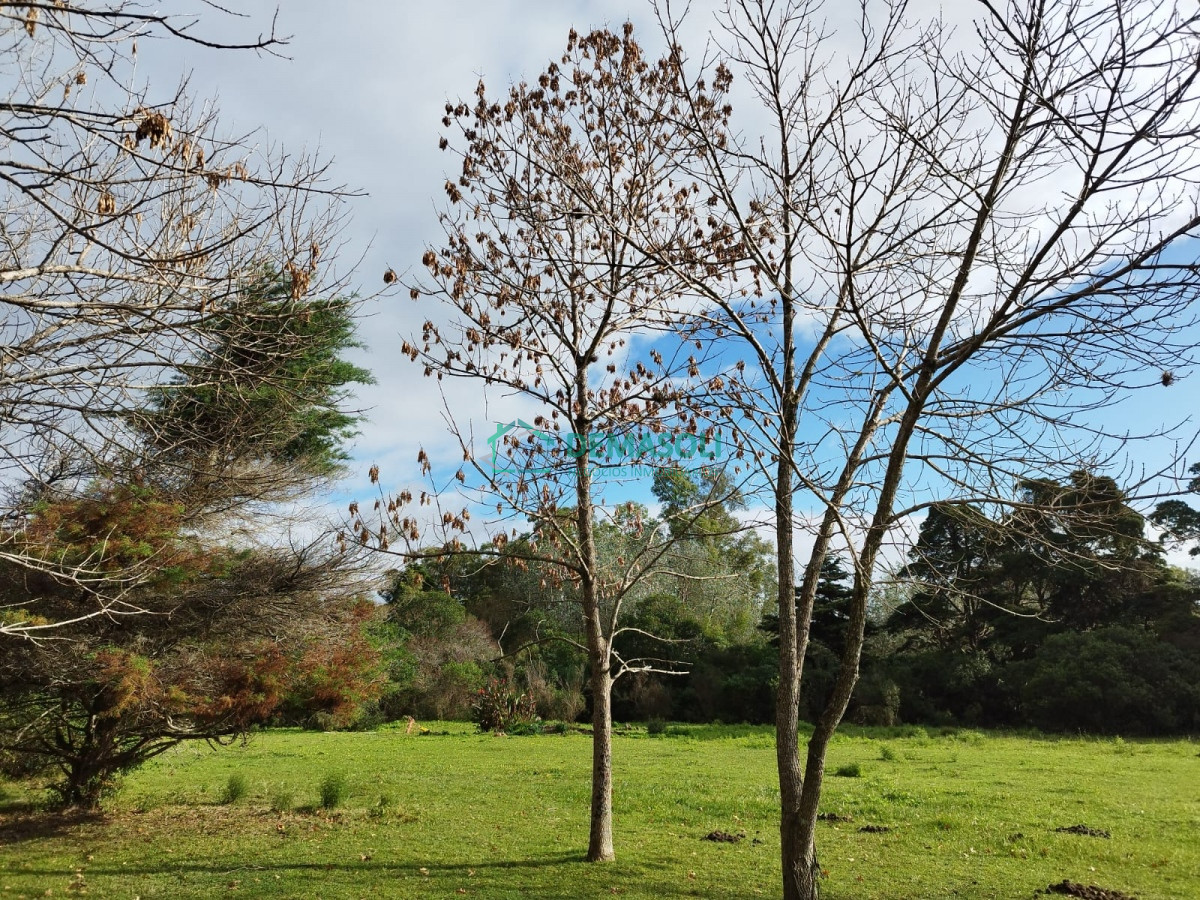 Chacra ID.908 - Se vende chacra a minutos de Piriapolis 