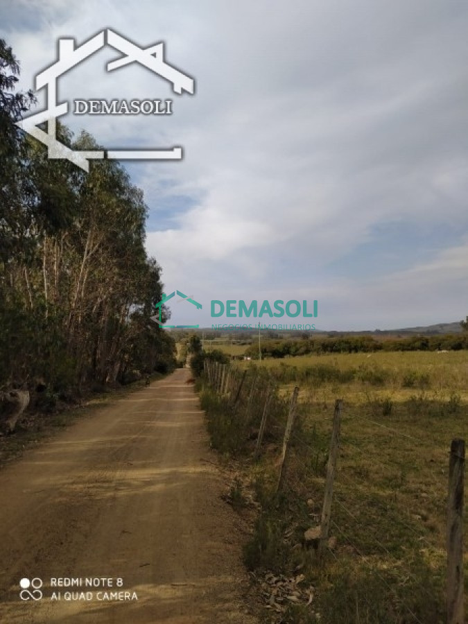 Chacra ID.161 - Hoy les proponemos esta chacra!. No le falta nada! 