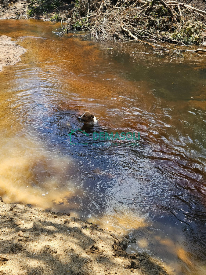 Chacra ID.1297 - 4 CHACRAS EN VENTA A POCOS KM DE GARZÓN Y JOSÉ IGNACIO