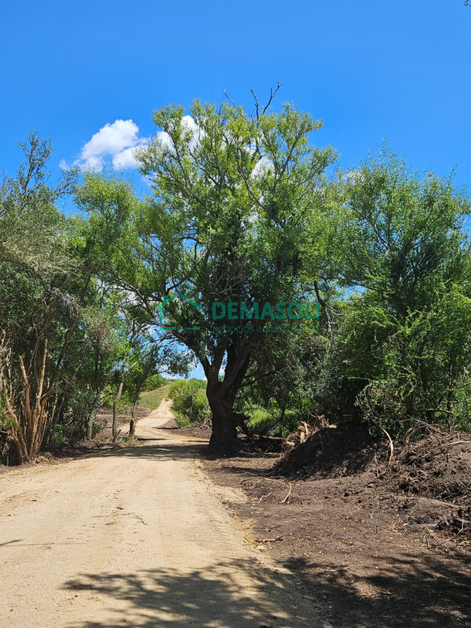 Chacra ID.1297 - 4 CHACRAS EN VENTA A POCOS KM DE GARZÓN Y JOSÉ IGNACIO