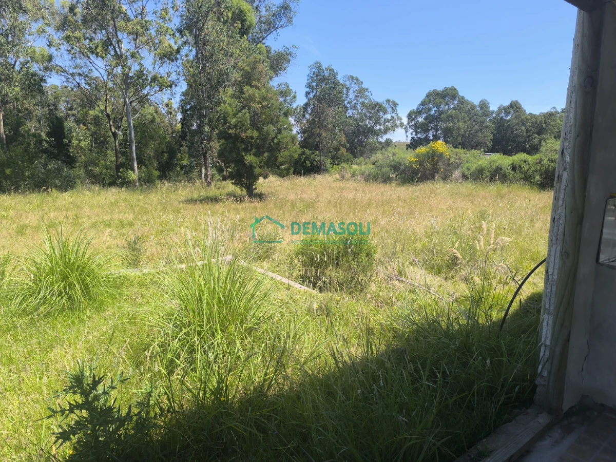 Chacra ID.1376 - 3 has 3120 m2 chacra con casas y Piscina a pocos minutos de Pan de Azúcar, Maldonado 