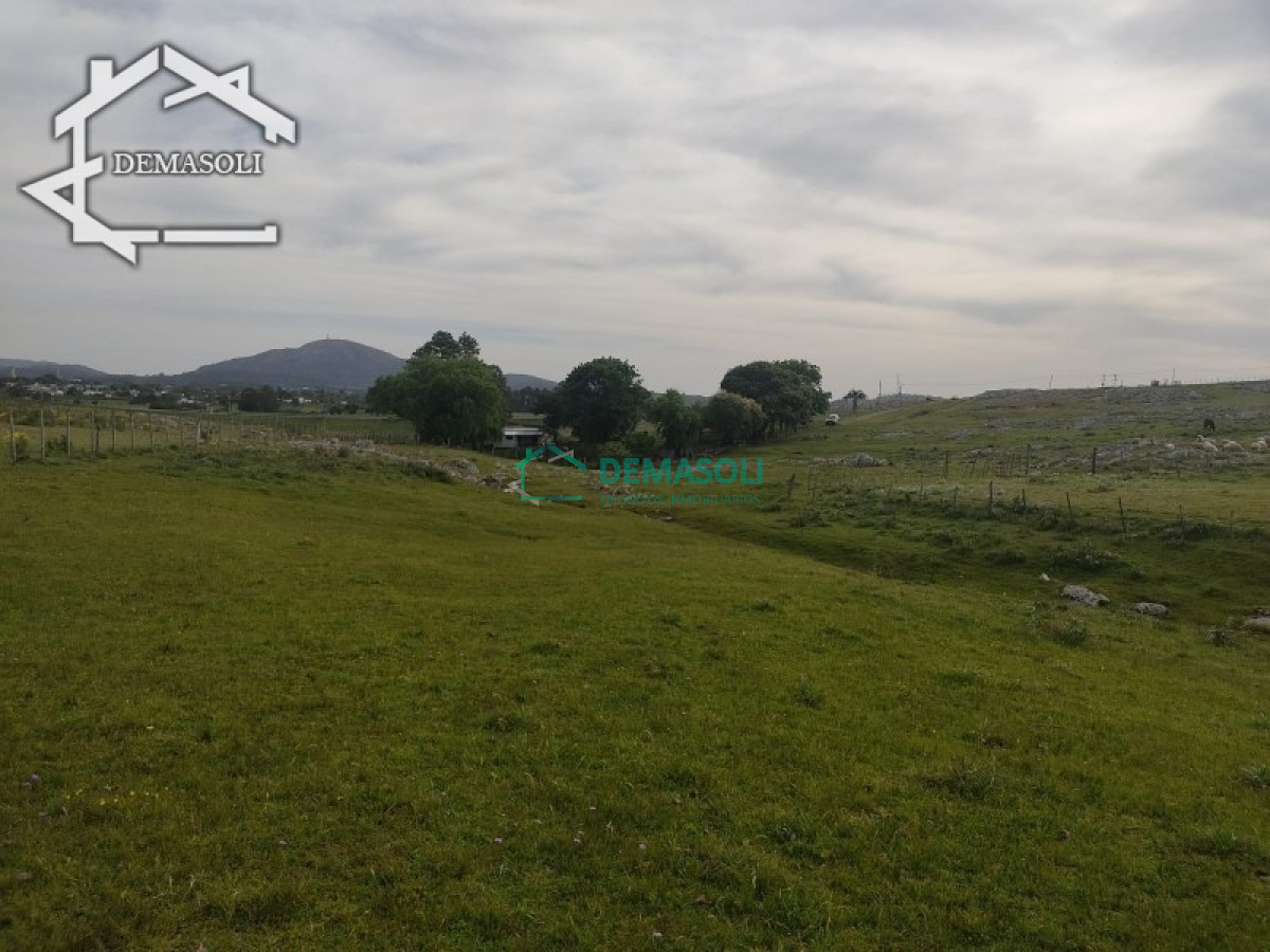 Chacra ID.37 - 11 has 8000 M2 con casa proximidades Pan de Azúcar