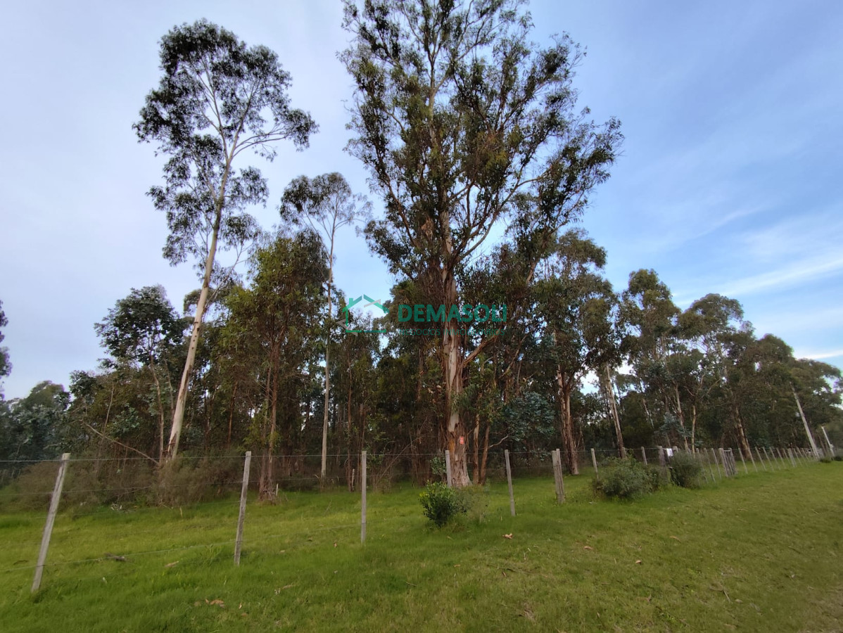 Chacra ID.1279 - CHACRA EN CERROS AZULES