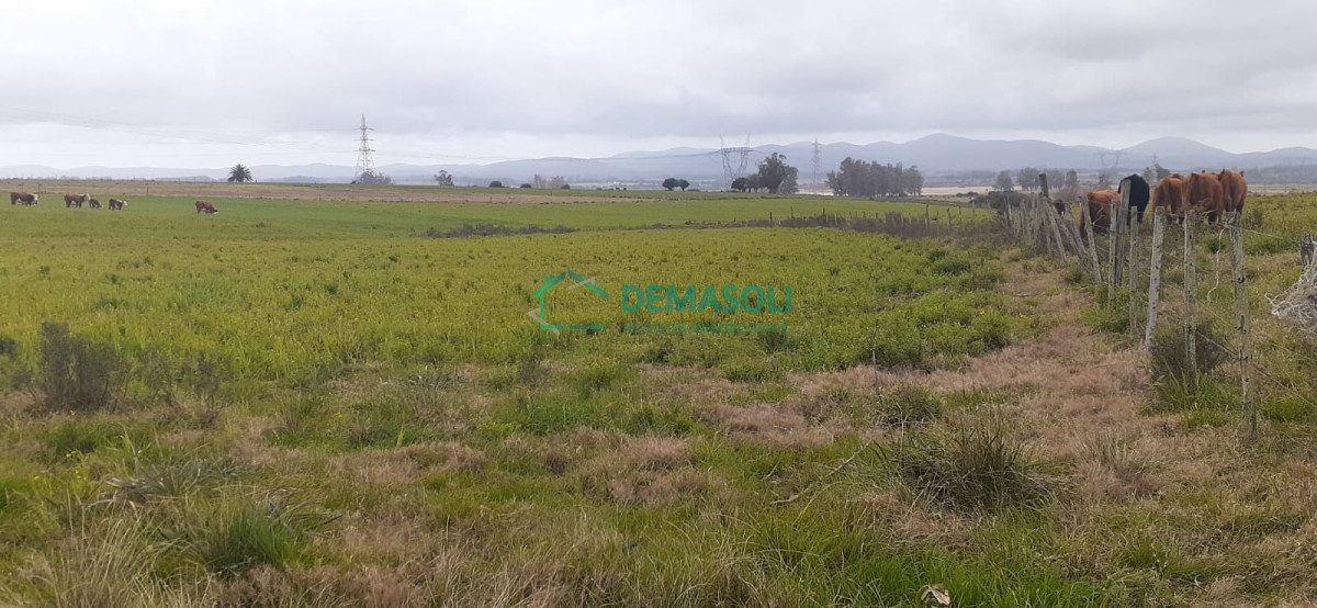 Chacra ID.569 - 