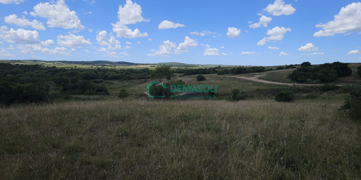 Chacra ID.1297 - 4 CHACRAS EN VENTA A POCOS KM DE GARZÓN Y JOSÉ IGNACIO